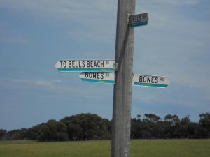 300251_644906680236_1742582170_n