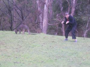 Killer Kangaroo